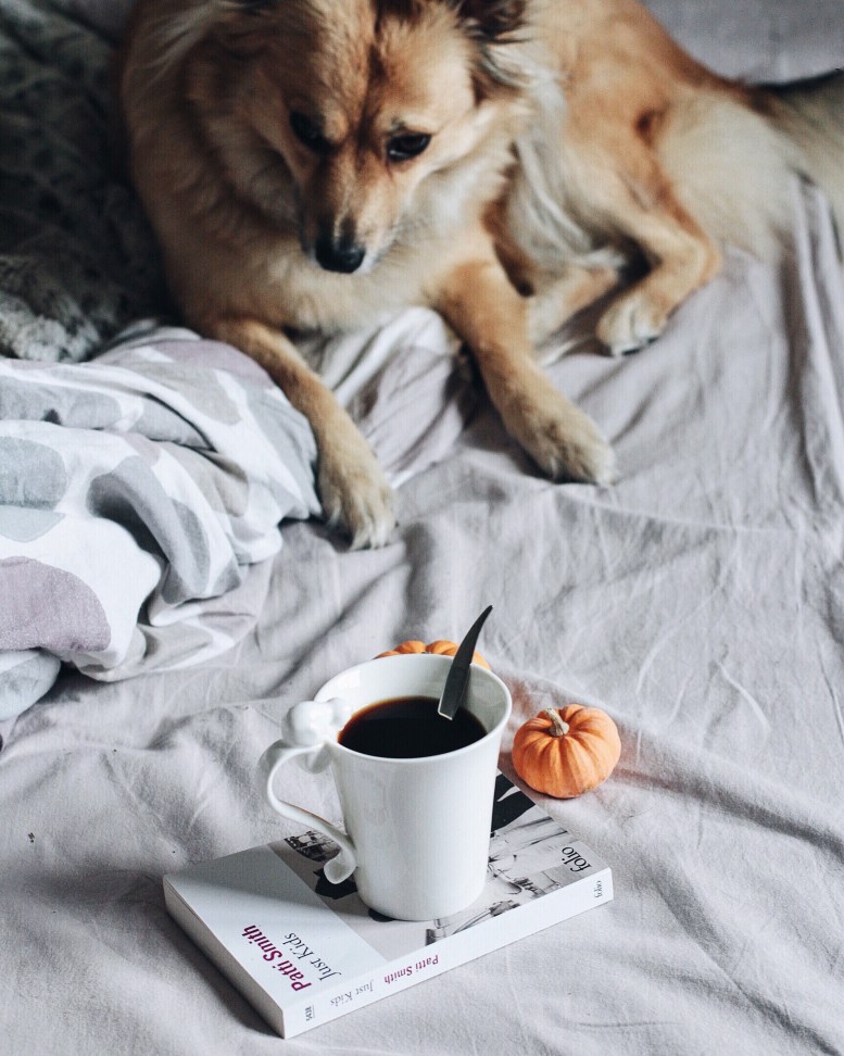 Processed with VSCOcam with a6 preset