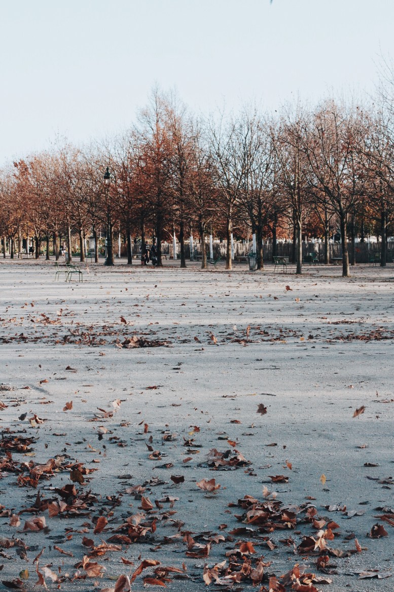 Processed with VSCOcam with a6 preset