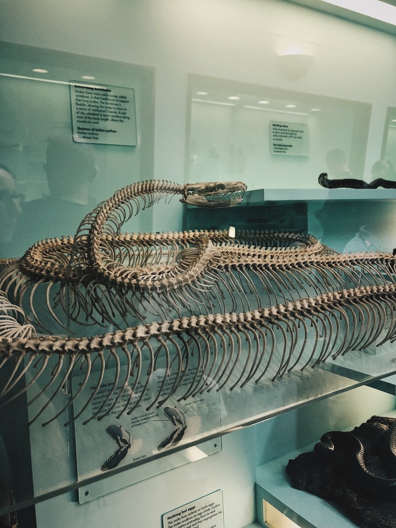 Processed with VSCO with hb2 preset