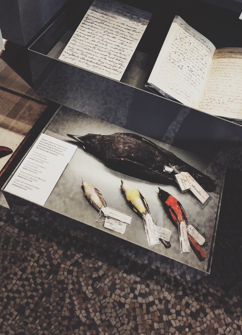 Processed with VSCO with 5 preset