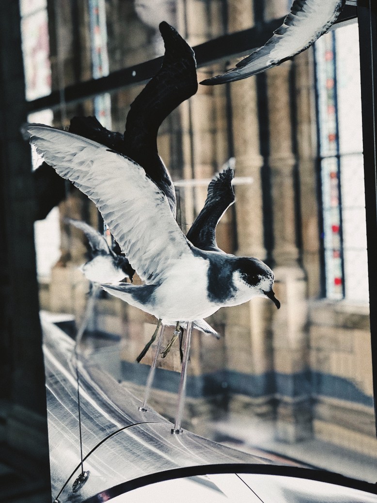 Processed with VSCO with fp8 preset