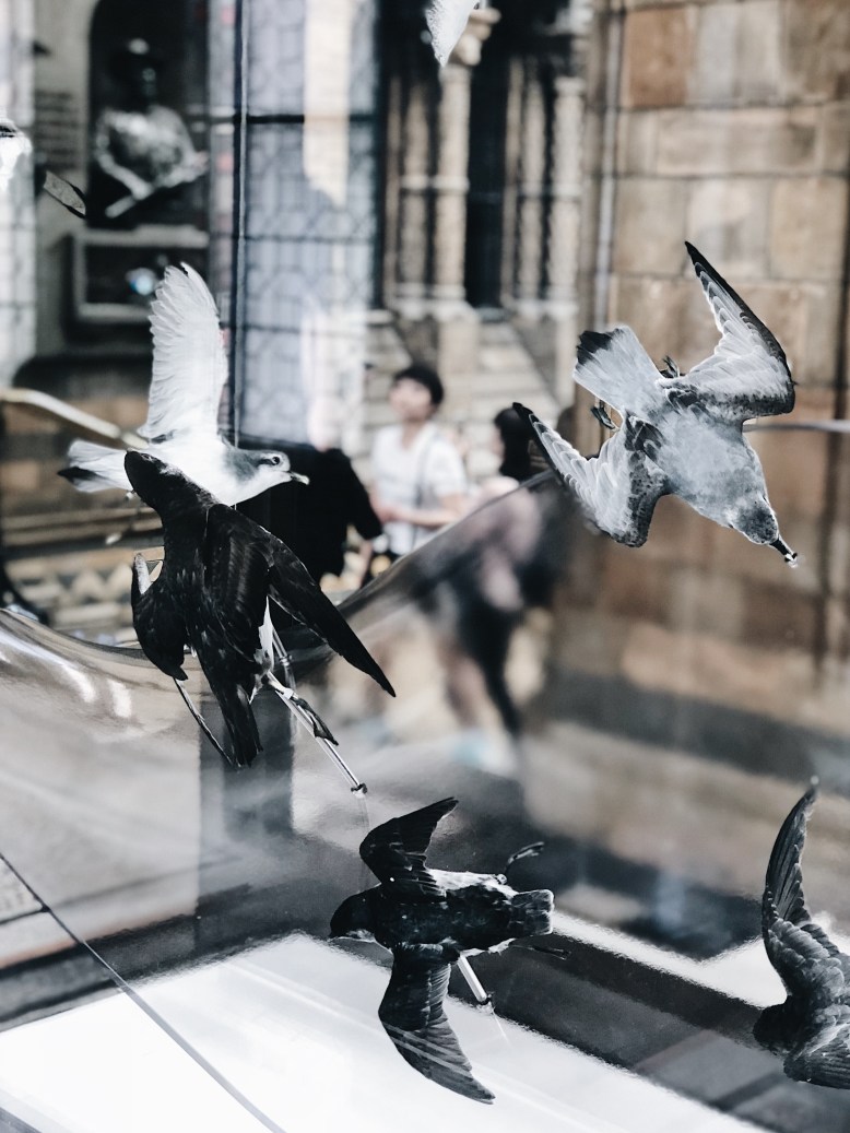 Processed with VSCO with a6 preset