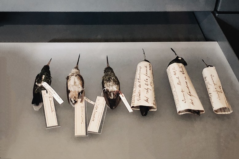 Processed with VSCO with a6 preset