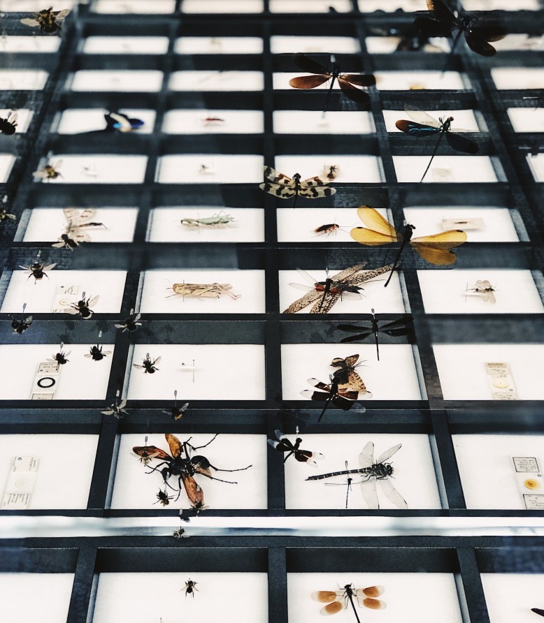 Processed with VSCO with fp8 preset