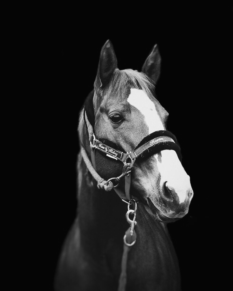 Processed with VSCO with 1 preset