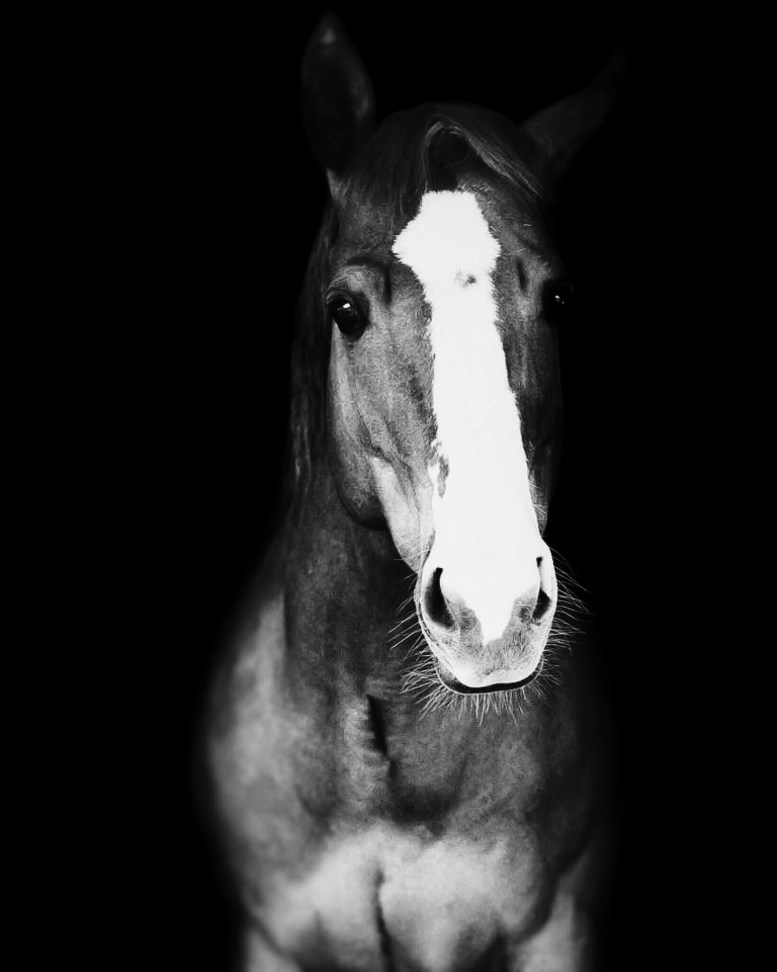 Processed with VSCO with b4 preset